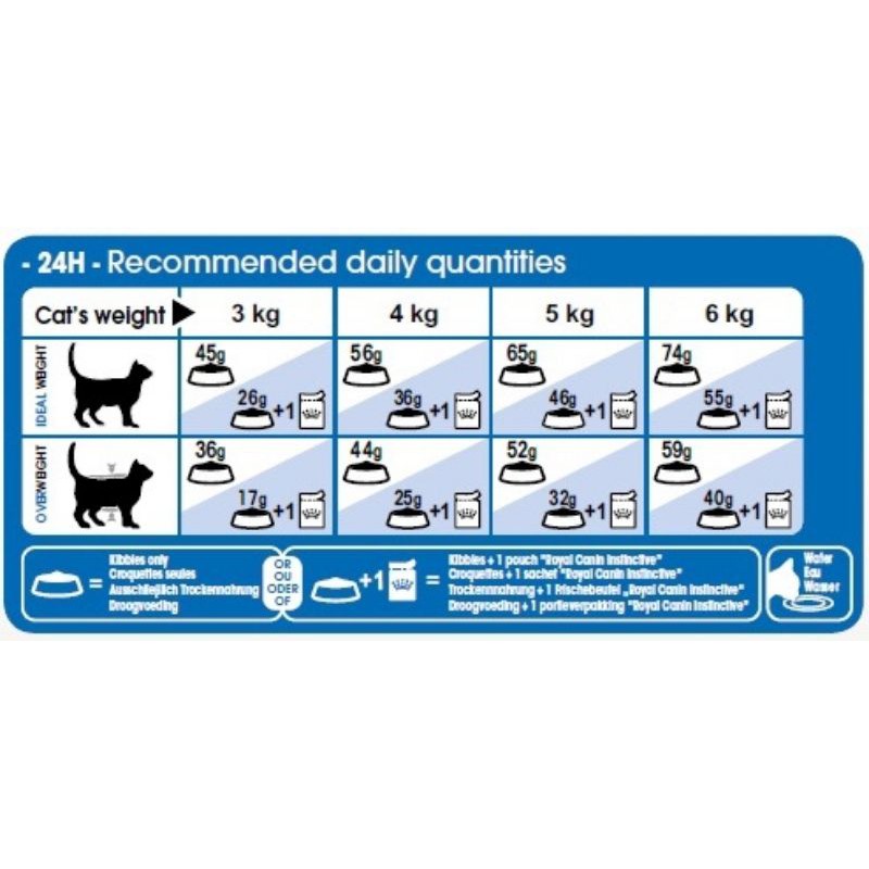 1kg túi chiếc thức ăn hạt cho meo Royal canin Indoor ( túi chia như hình )