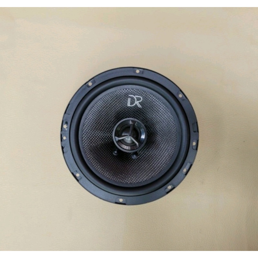 Loa cánh DR E6X-110W