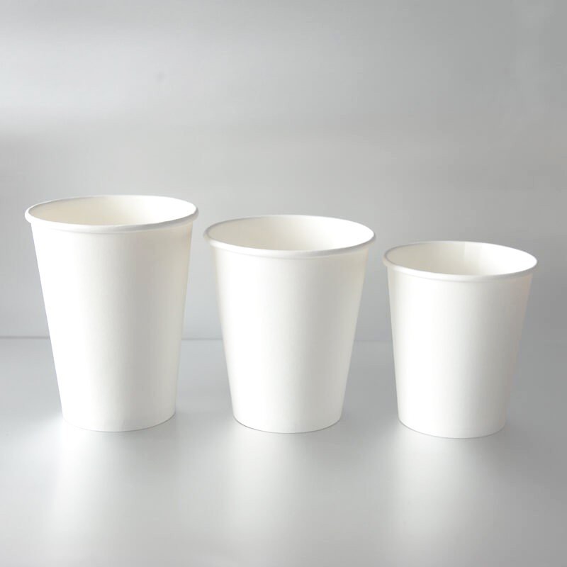 Cốc giấy 8oz
