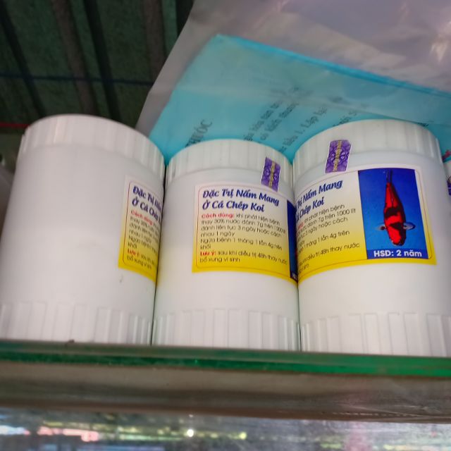 Đặc trị nám mang cá chép koi