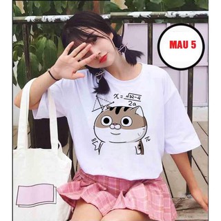 FREESHIP 50K ÁO THUN TAY LỠ FREESIZE  IN HINH MÈO AMI BỤNG BỰ CỰC XINH - ATTL300