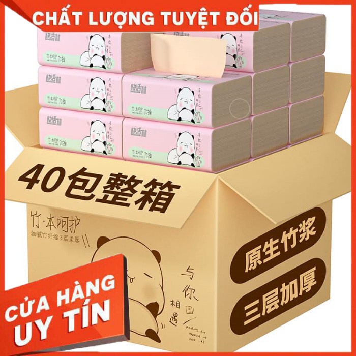 Giấy Gấu Trúc Hồng Tissue