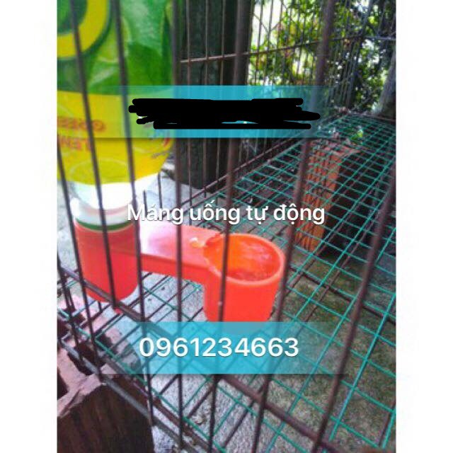 Máng uống tự động nút chai cho chim cho gà.