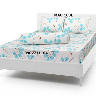Bộ ga cotton korea nhiều mẫu