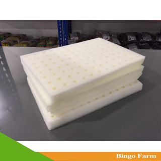 Mút xốp ươm hạt loại 96 viên