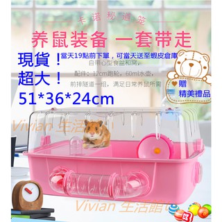 Lồng Nuôi Chuột Trong Suốt Hai Tầng Bằng Acrylic Sang Trọng