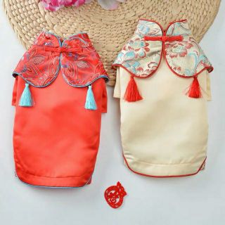 Áo Tết thuê hoa cho thú cưng