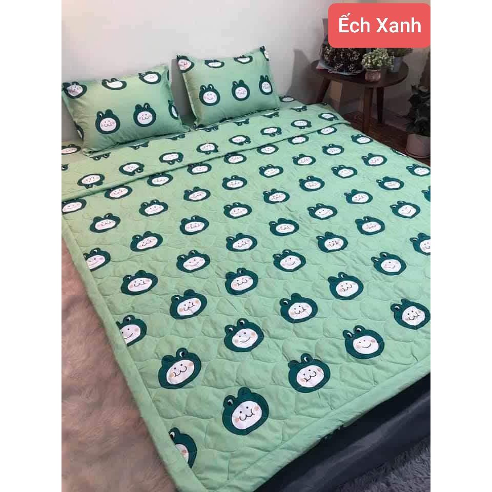 Bộ Ga Gối Cotton Poly 4 Món H&T Bedding, Miễn Phí May Ga Bo Chun, Bộ Ga Mới Hè 2022, Sét Chăn Ga 4 Món | BigBuy360 - bigbuy360.vn