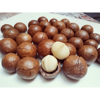HẠT MACCA DAKLAK SẤY CHÍN (NỨT VỎ) – 500GR