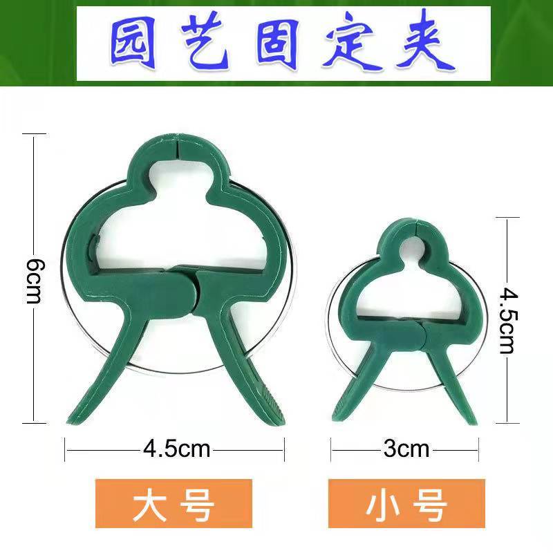 Kẹp Hỗ Trợ Cành Cây Leo Tiện Dụng Cho Sân Vườn