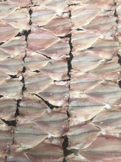 Cá lù đù 1 nắng - Khay 500g