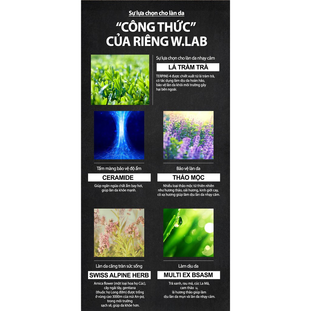 Phấn nước kiềm dầu BB Snow cushion WLAB | BigBuy360 - bigbuy360.vn