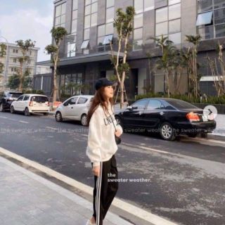 Quần baggy 3 sọc (bán sỉ)