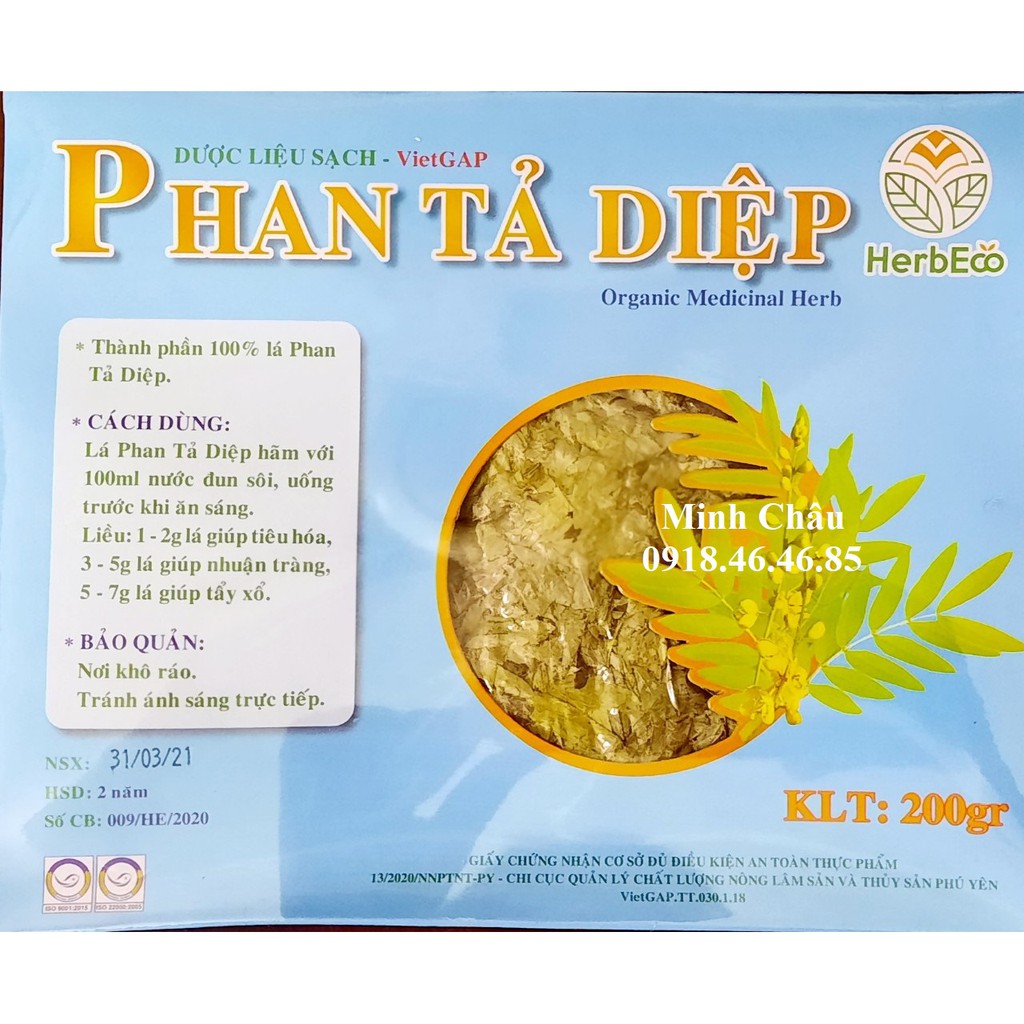 CHÍNH HÃNG TRÀ PHAN TẢ DIỆP HÚT CHÂN KHÔNG