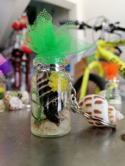MÓC KHÓA CHAI ỐC DẠ QUANG HANDMADE