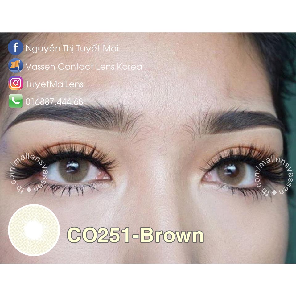 [ Ảnh Thật ] Lens Nâu Tây Sáng Nổi Bật Co251 Brown 14mm 0 Độ - Kính Áp Tròng Hàn Quốc Vassen Sexy Me