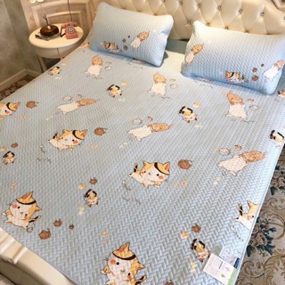 Chiếu Lụa Tencel 2D Loại 1-> chát shop chọn mẫu