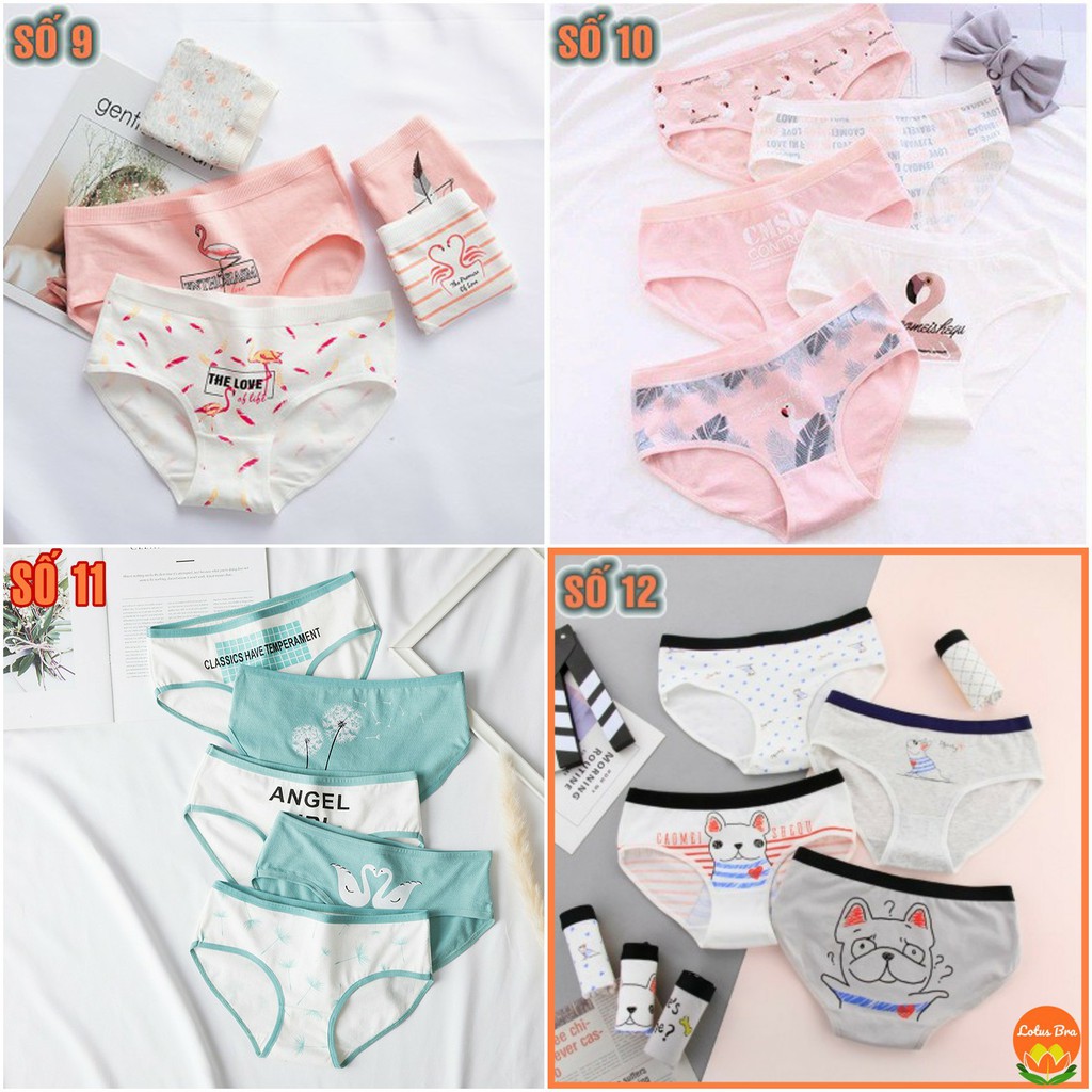 Set 5 Quần Lót Cotton C01 | BigBuy360 - bigbuy360.vn