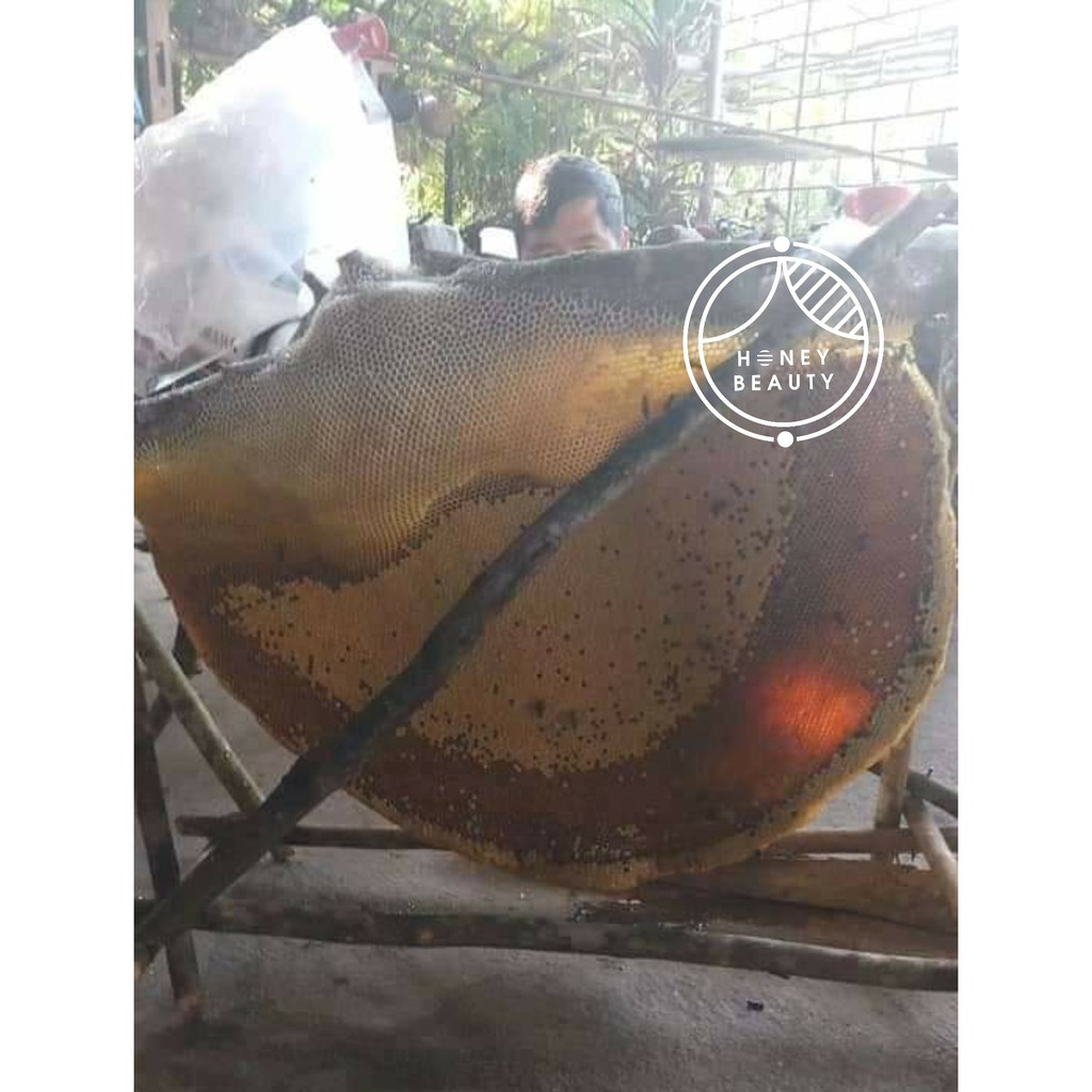 Mật ong rừng ❤️Ong Ruồi/ Ong Khoái❤️ Tây Nguyên nguyên chất  thượng hạng Honey Beauty 105ml