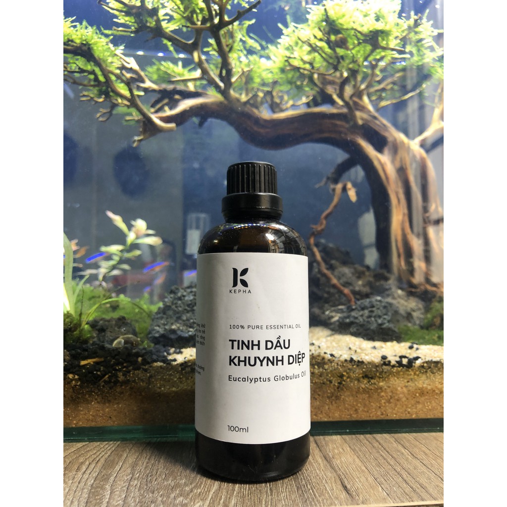 Tinh dầu khuynh diệp 100ml Kepha [XẢ KHO]