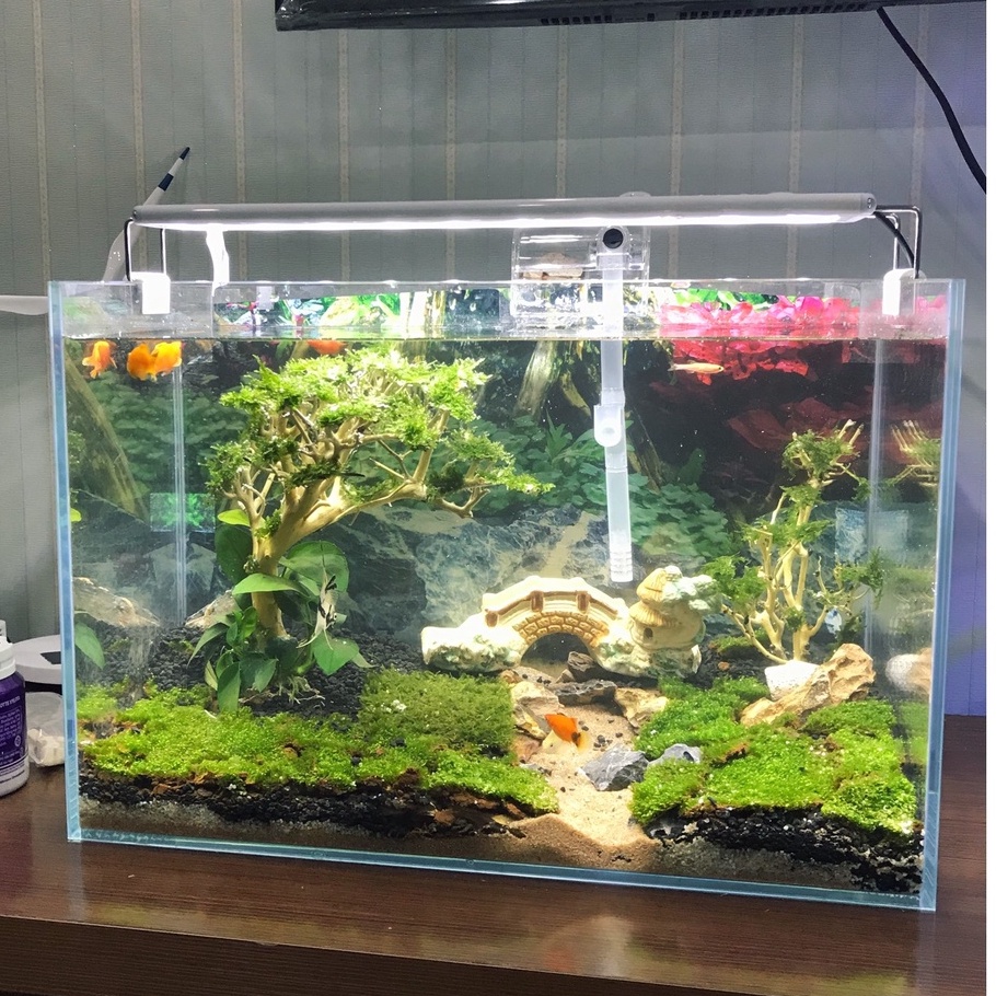Bộ bể cá cảnh mini kính siêu trong dài 40cm - Bể cá thủy sinh để bàn