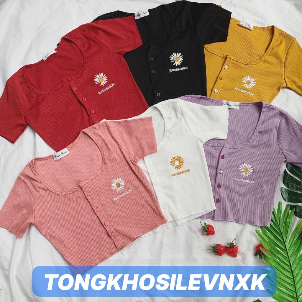 ÁO CROPTOP THÊU HOA CÚC VIỀN GẤU LEN TĂM CÚC CÀI PEACEMINUSONE ULZZANG
