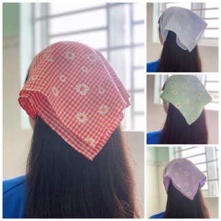 Badana 1 lớp (ib chọn mẫu)