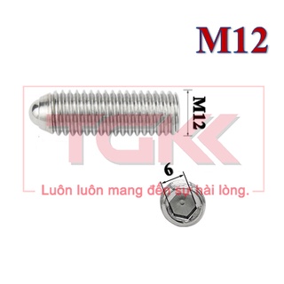 Vít trí đầu bi inox 304 M12