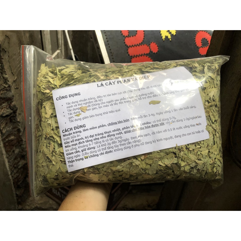 500Gr Lá Cây Phan Tả Diệp Hàng Đẹp
