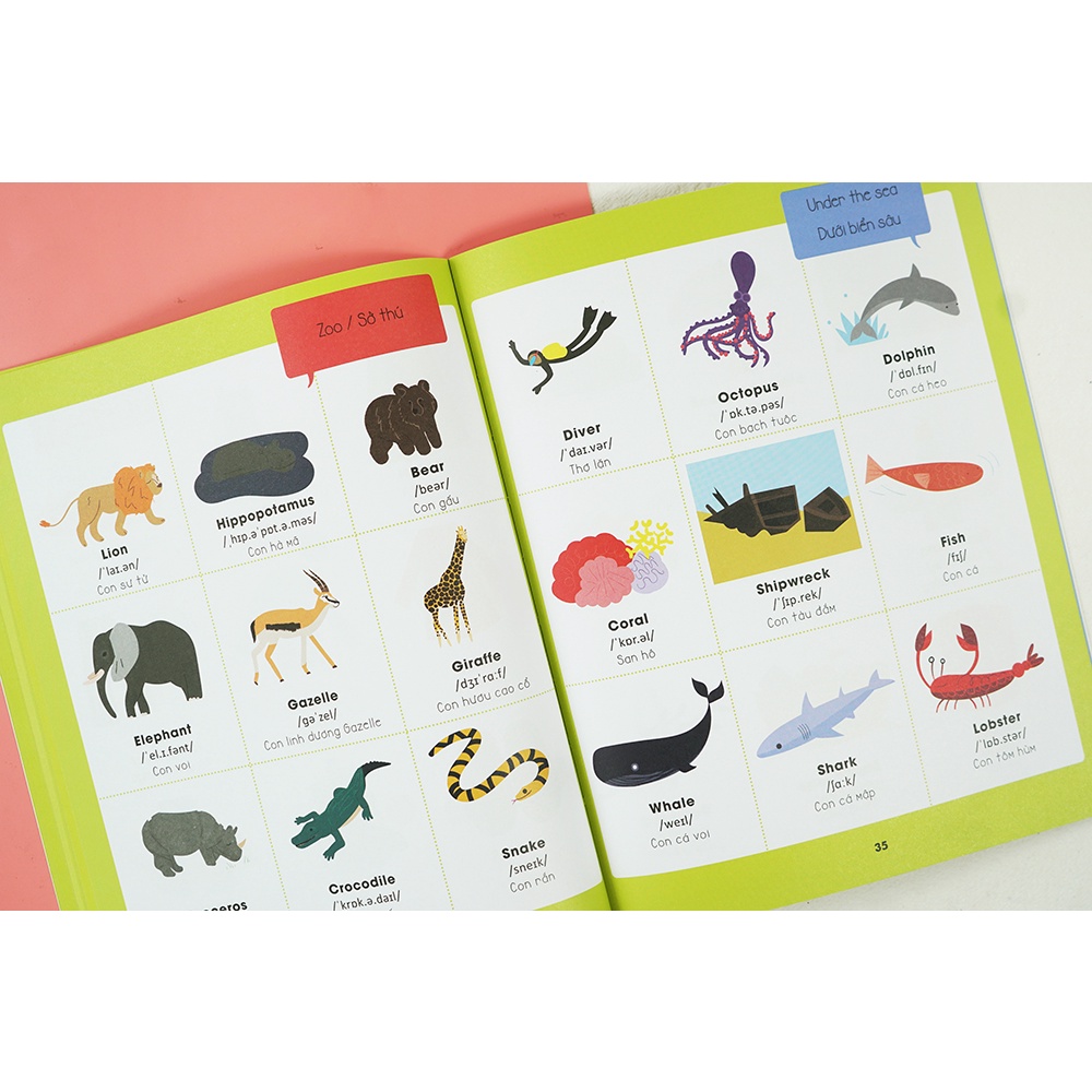 Sách - Học tiếng Anh cho trẻ trên 6 tuổi - Hello English! - Xin chào tiếng Anh!- Từ điển tiếng Anh bằng hình