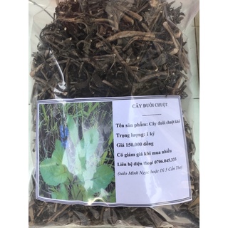 Cây đuôi chuột phơi khô 1 ký