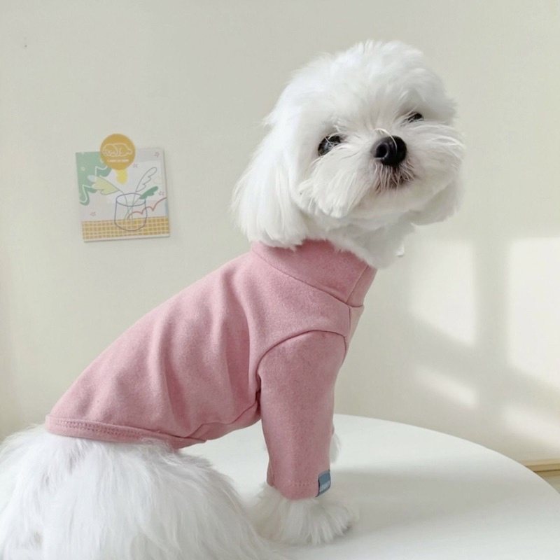 Áo cho chó mèo mùa thu BECHON A120