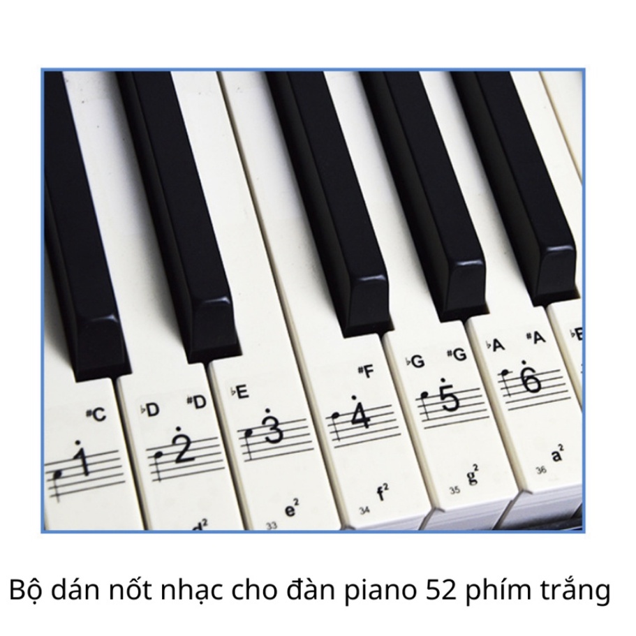 Sticker dán nốt Piano 88 phím đen trắng, Miếng dán decal cho Keyboard và Piano Musical Web