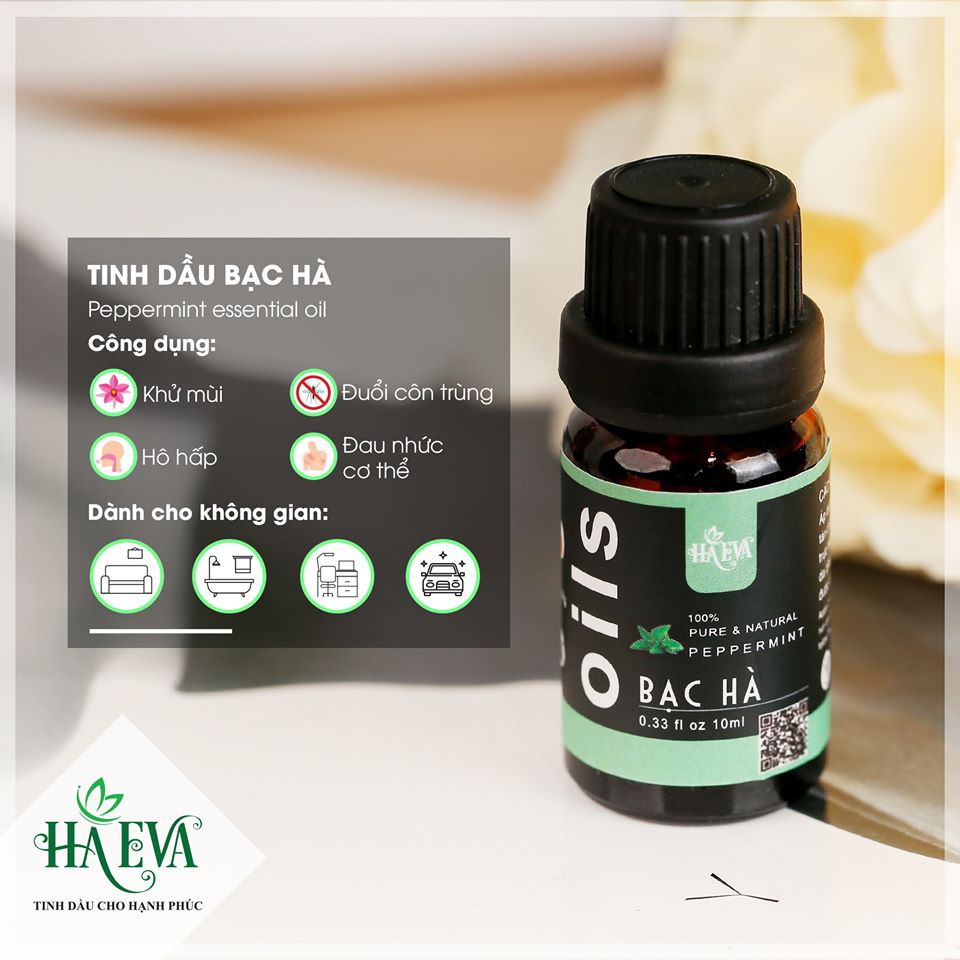 TINH DẦU BẠC HÀ HaEva