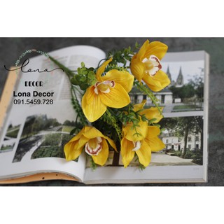 Hoa lụa - địa lan chùm