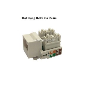 Nhân mạng âm tường Cat5 - Hạt mạng âm tường Cat5 dùng cho mặt nạ AMP/Commscope