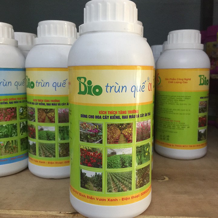 phân trùn quế cho lan Bio giúp cây đâm tược, nảy chồi mới, phát triển mạnh bộ lá, thân, cành trong giai đoạn tăng trưởng