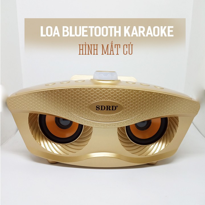 Loa Karaoke Bluetooth SD-306 Tặng Kèm 2 Micro Không Dây , Bass Đập Siêu Hay