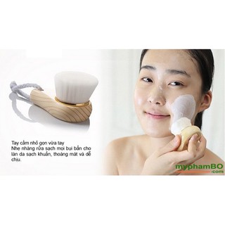 Cọ rửa mặt cán gỗ Hàn Quốc