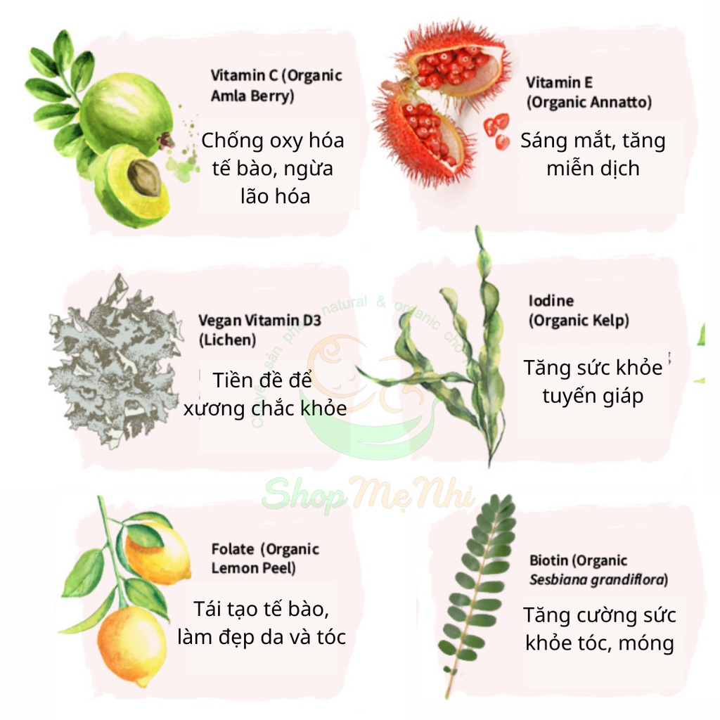 Vitamin hữu cơ tổng hợp dành cho nữ trên 40 tuổi Garden Of Life Mykind Women Multi 40+, 120 Viên.