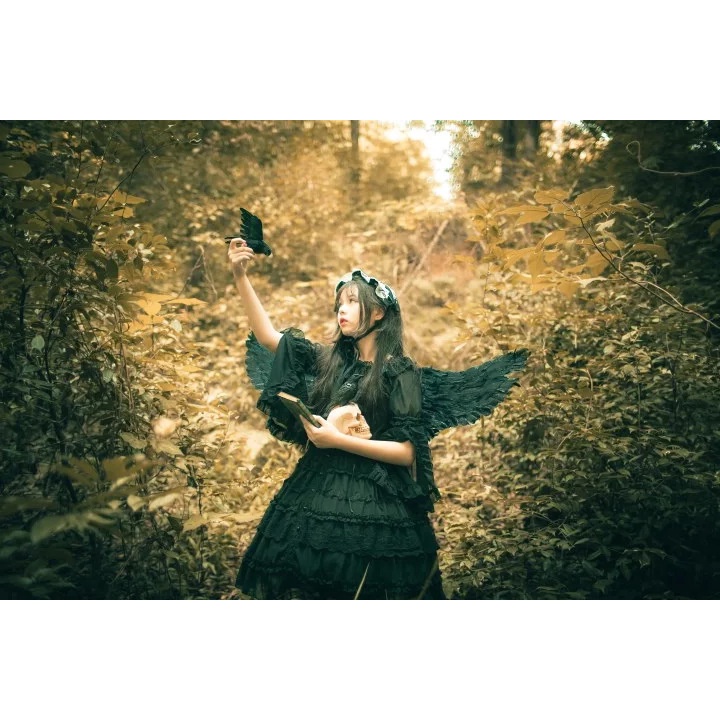 Cánh Thiên Thần Lông Vũ Đen Hóa Trang Công Chúa Halloween Cho Trẻ Em