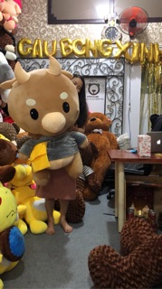 Gấu bông bò chăm chỉ khổng lồ