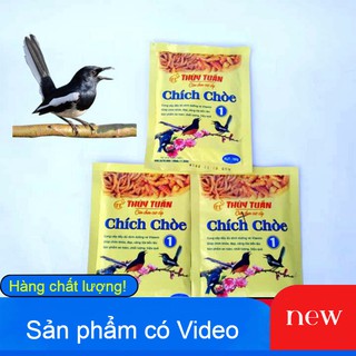 CÁM CHIM DINH DƯỠNG CHO CHIM CHÒE THAN _ CHÒE LỬA
