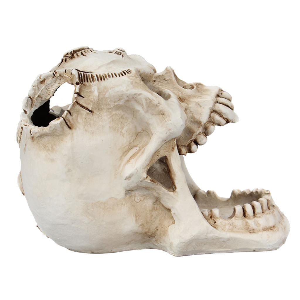 1 Hộp Đựng Bút Bằng Nhựa Hình Đầu Lâu Sáng Tạo Trang Trí Văn Phòng