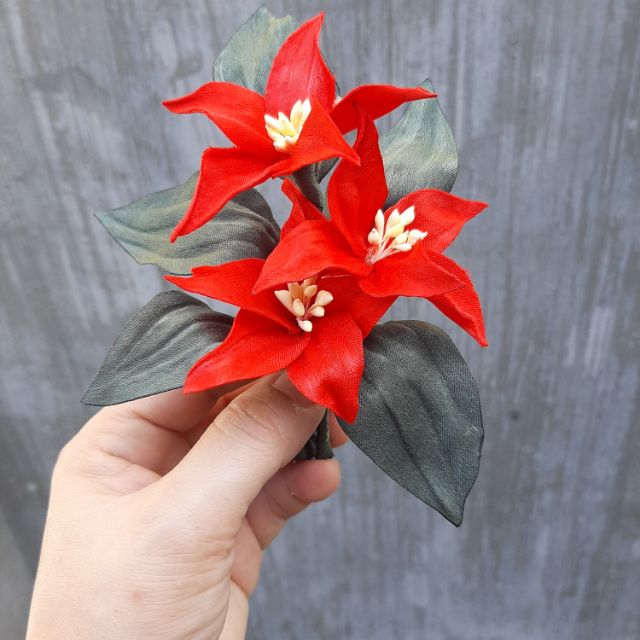 Sale lấy tương tác .