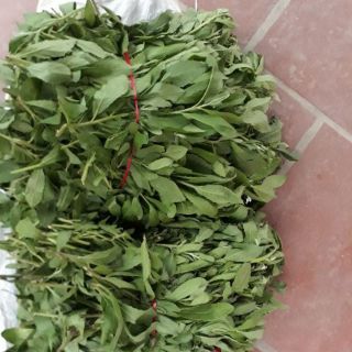 1kg cúc tần tươi