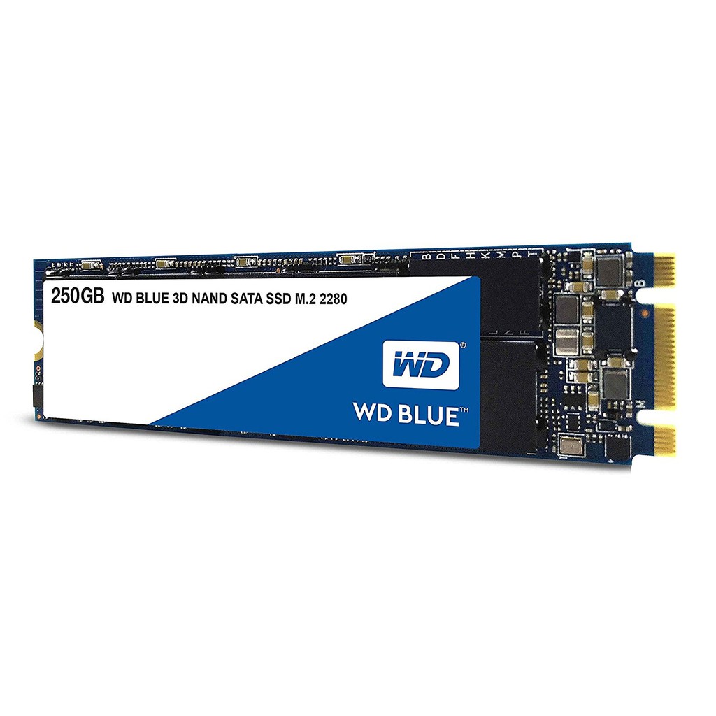 [Mã 153ELSALE2 giảm 7% đơn 300k] Ổ cứng SSD 250GB Western WDS250G2B0B M2-2280 (Blue)