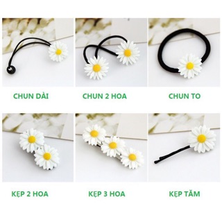 Kẹp tóc, chun cột hoa cúc
