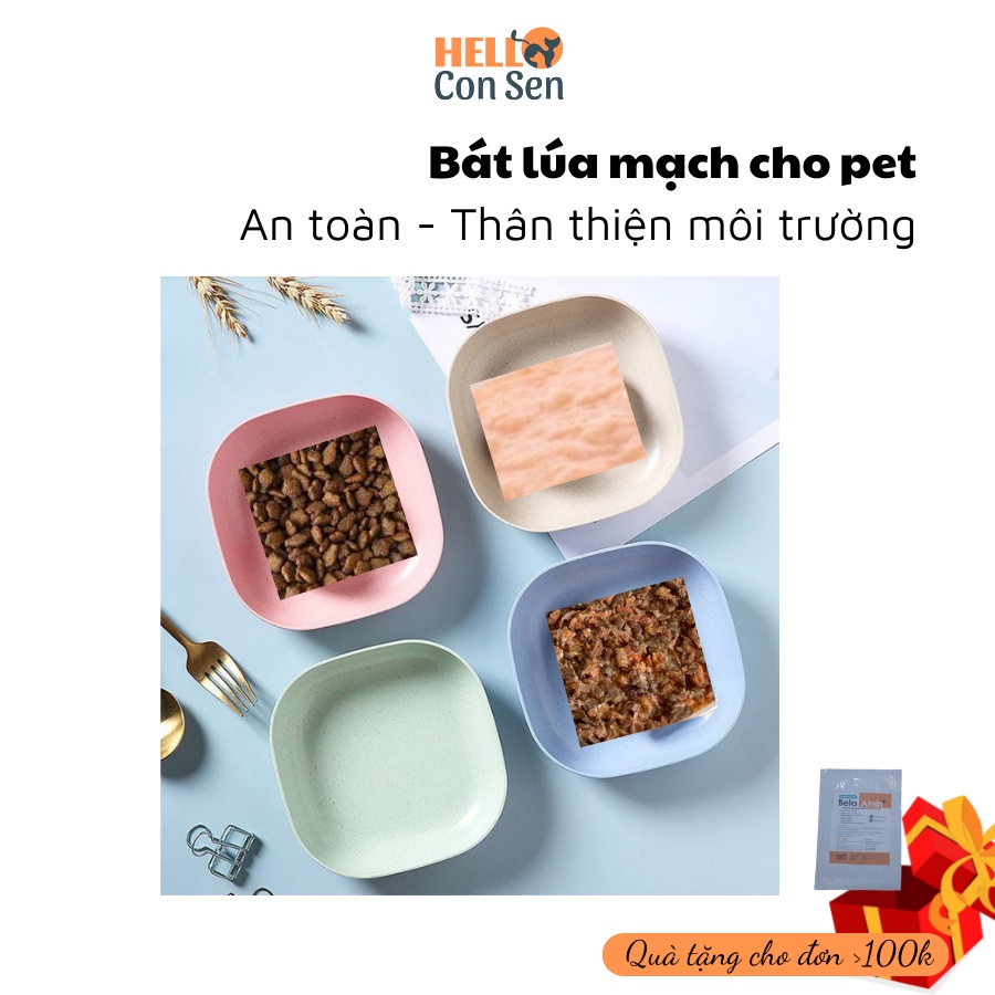 Bát ăn chó mèo chuyên đựng thức ăn rawfood cho mèo làm từ bột lúa mạch an toàn thân thiện môi trường