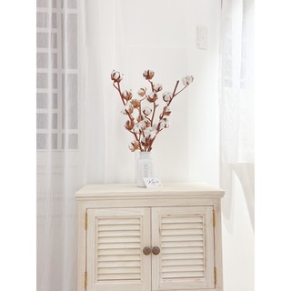 Set combo lọ và hoa Cotton Stalks Mỹ